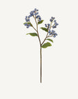Blueberry Stem - Annie & Flora