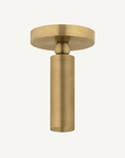 Luxe Pivot Flush Mount - Annie & Flora