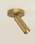 Luxe Pivot Flush Mount - Annie & Flora