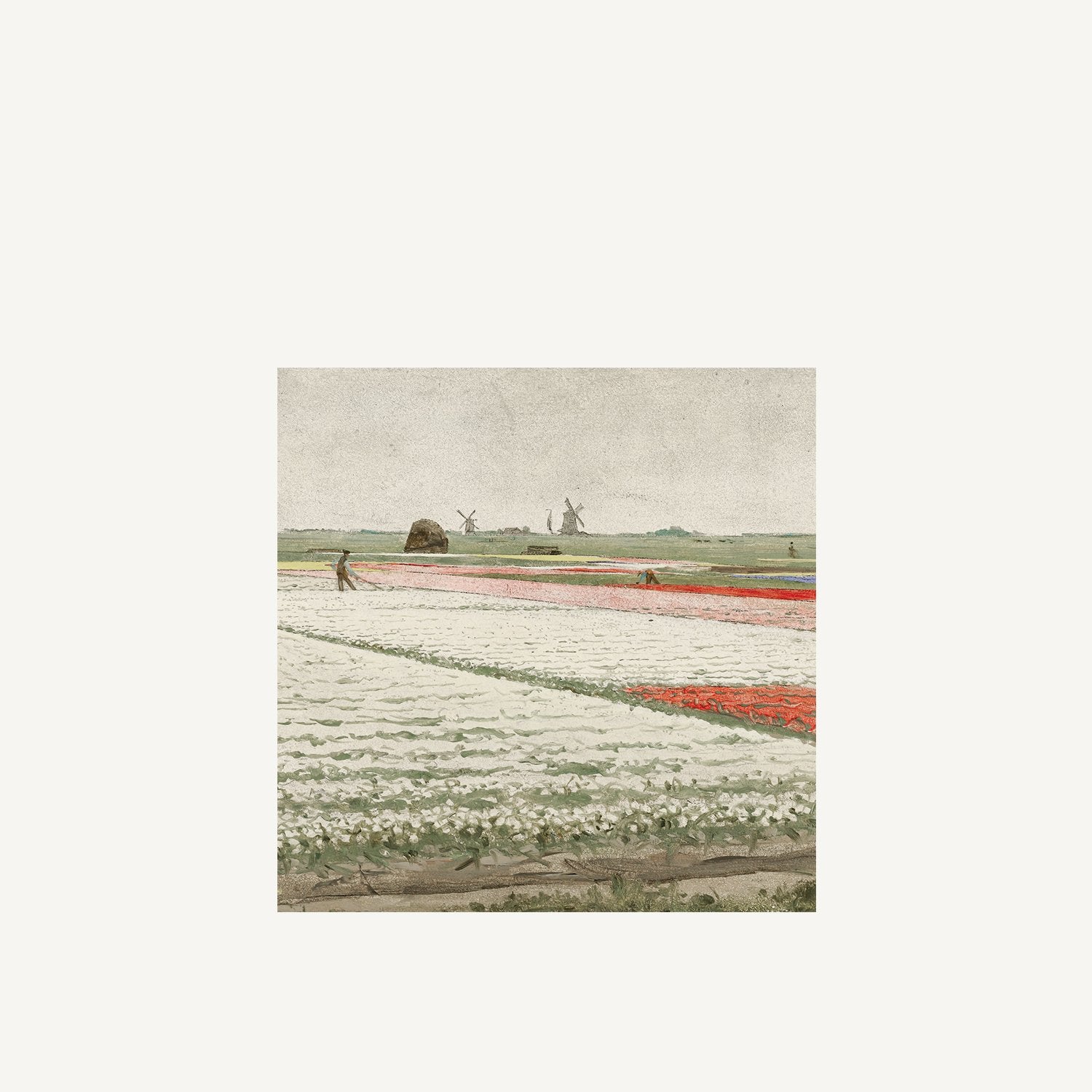 Field of Tulips - Annie &amp; Flora