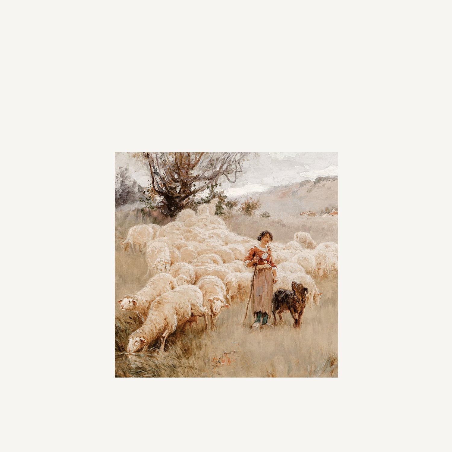 Grazing Sheep - Annie & Flora