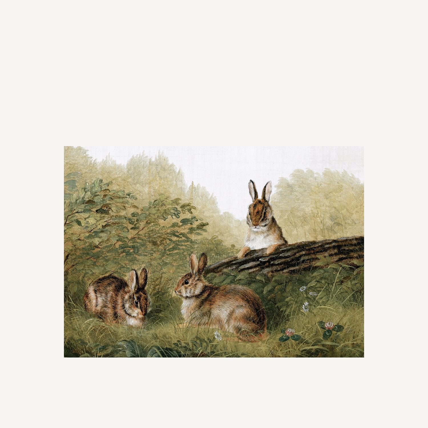 Rabbits - Annie & Flora