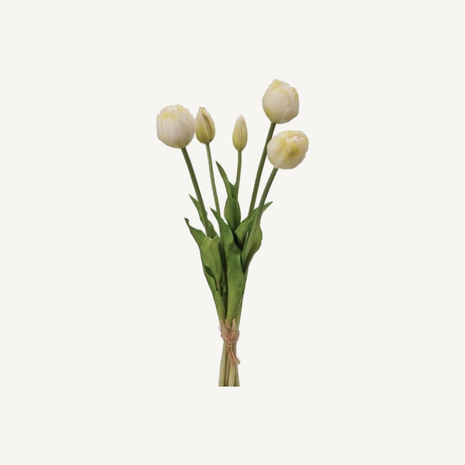 Tulip Bundle - Annie & Flora