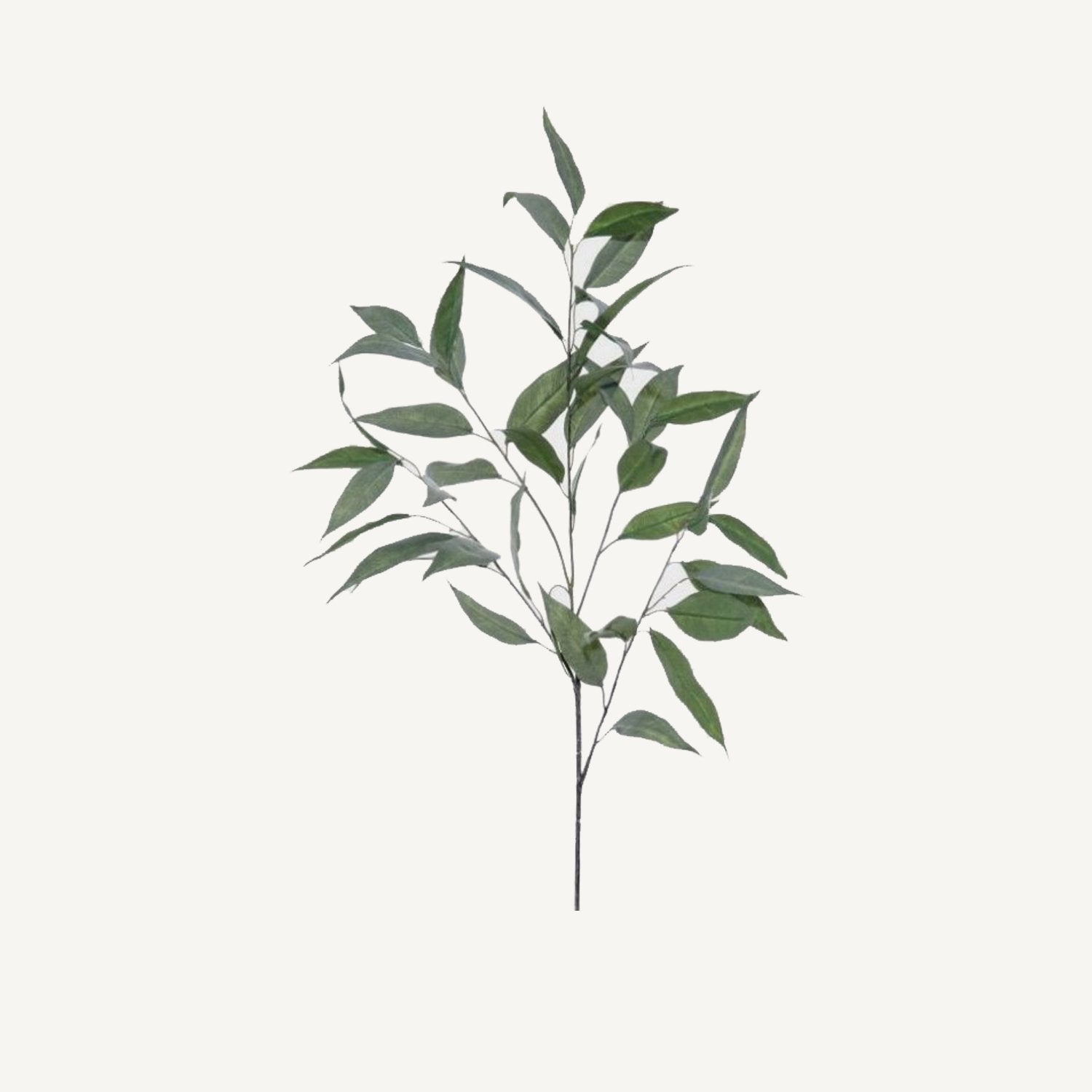 Willow Eucalyptus Spray - Annie & Flora