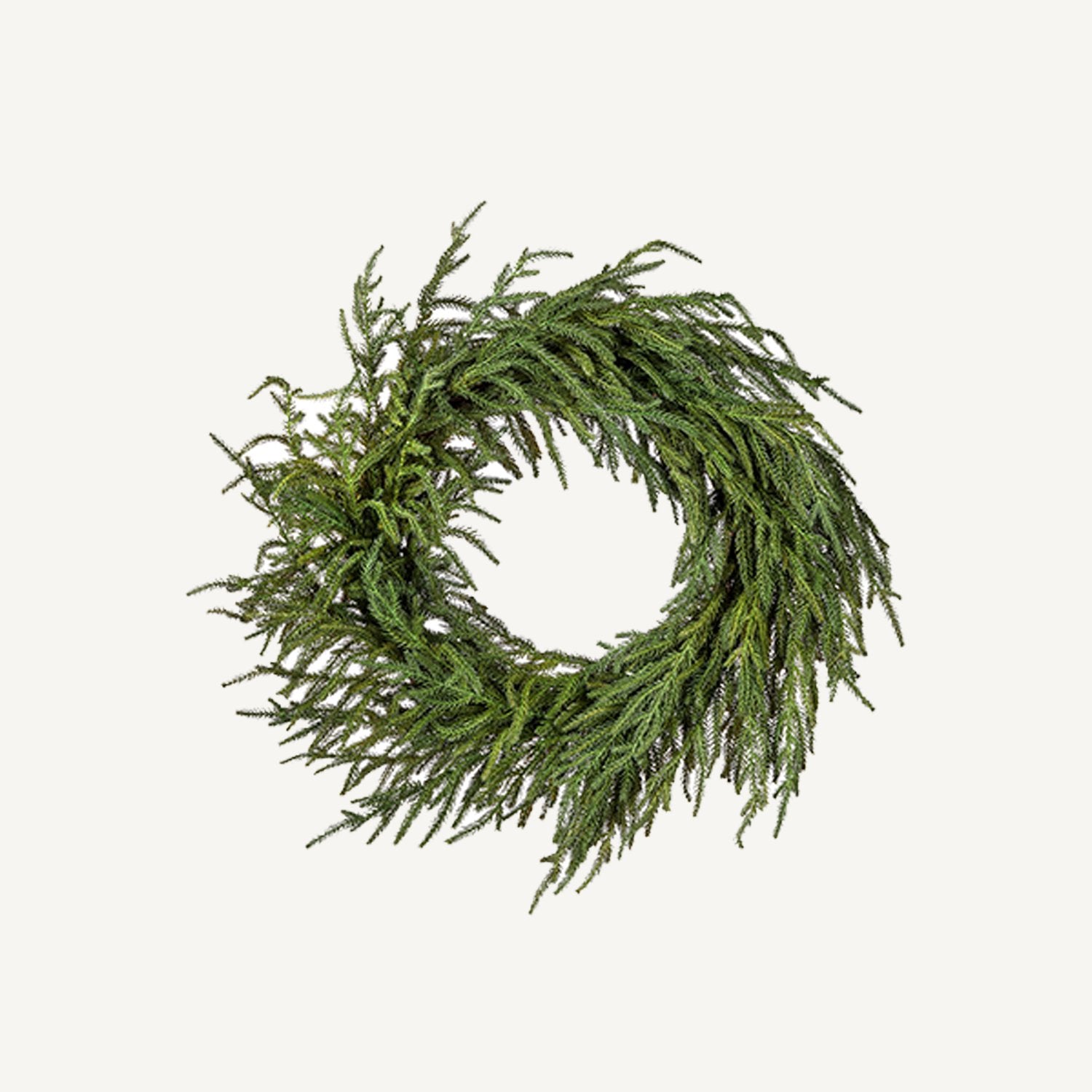 24" Norfolk Pine Wreath - Annie & Flora