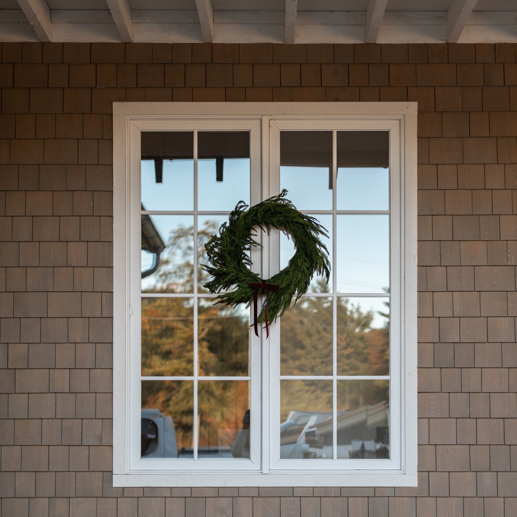 24" Pre - lit Norfolk Pine Wreath - Annie & Flora