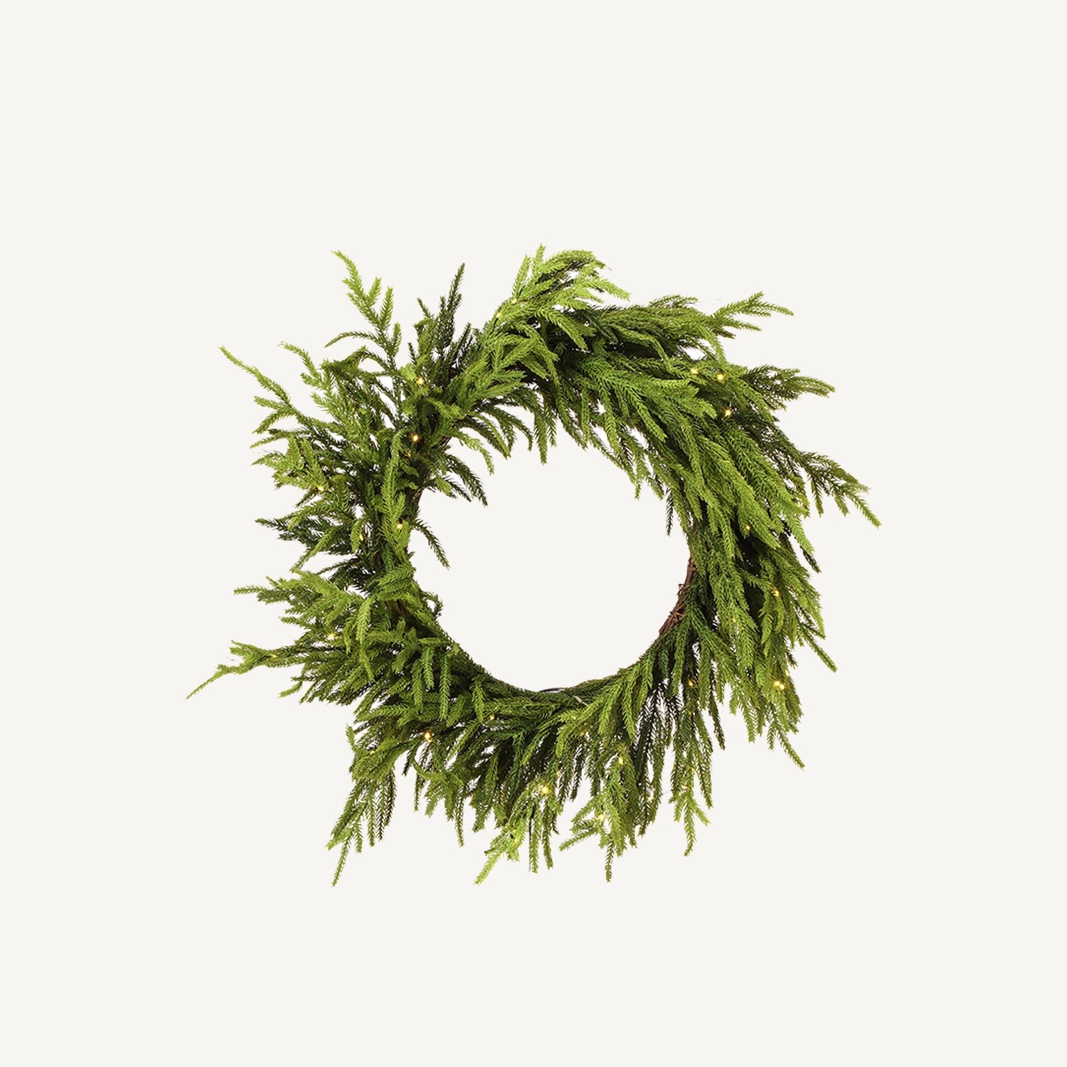 24" Pre - lit Norfolk Pine Wreath - Annie & Flora