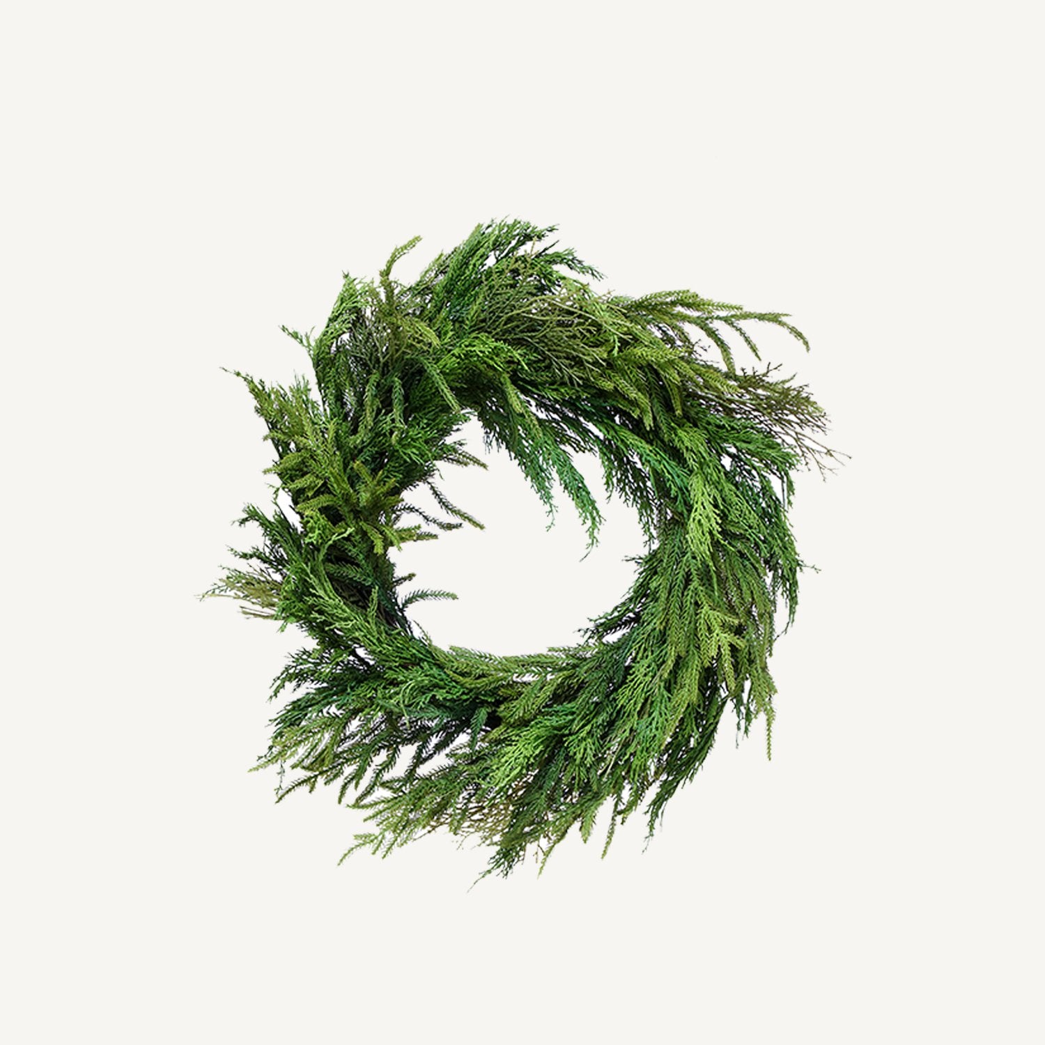 26" Cyprus and Norfolk Pine Wreath - Annie & Flora