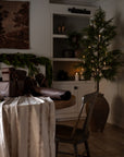 7' Natural Touch Norfolk Topiary Tree - Annie & Flora