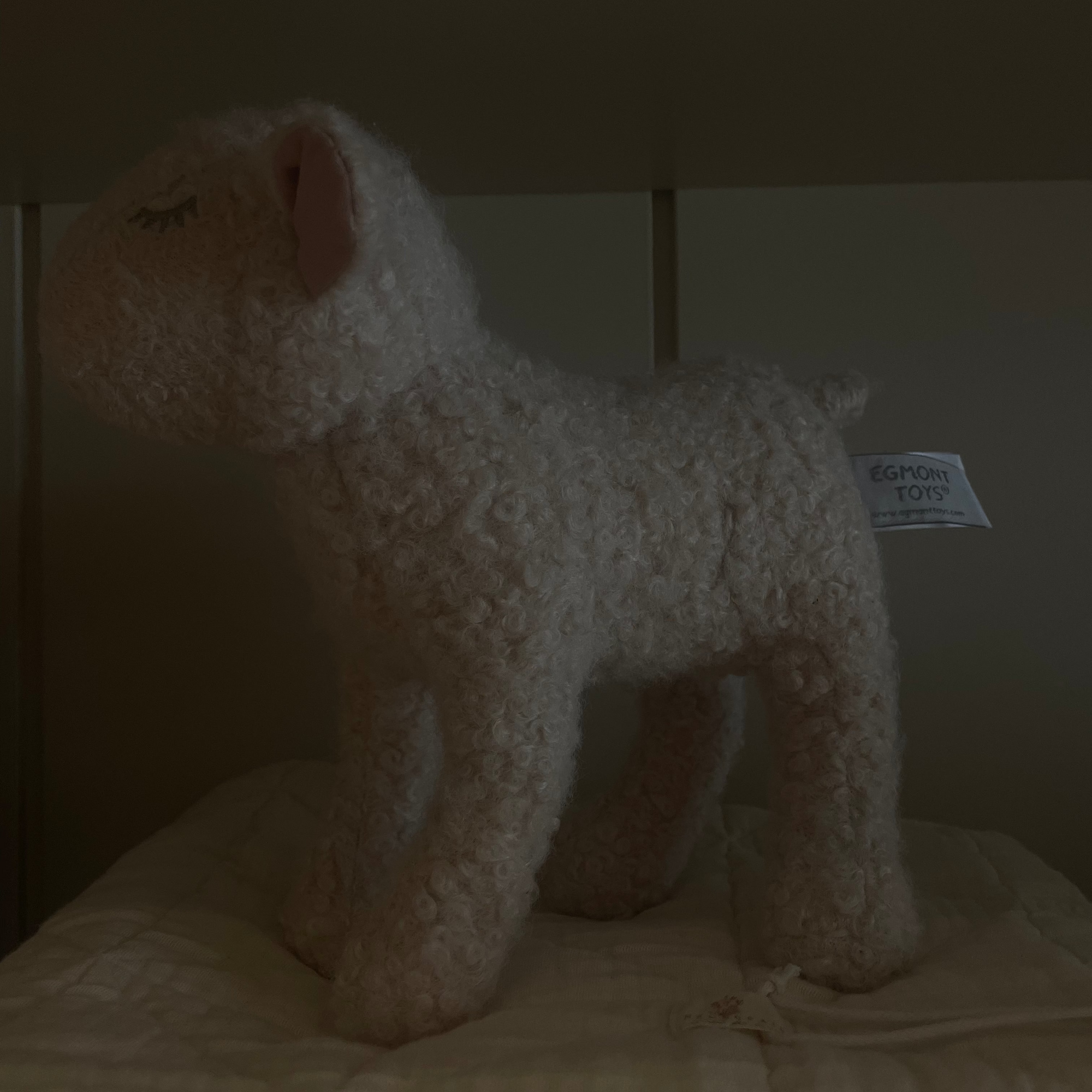 Mary the Lamb