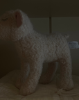 Mary the Lamb
