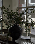 Ficus Leaf Spray