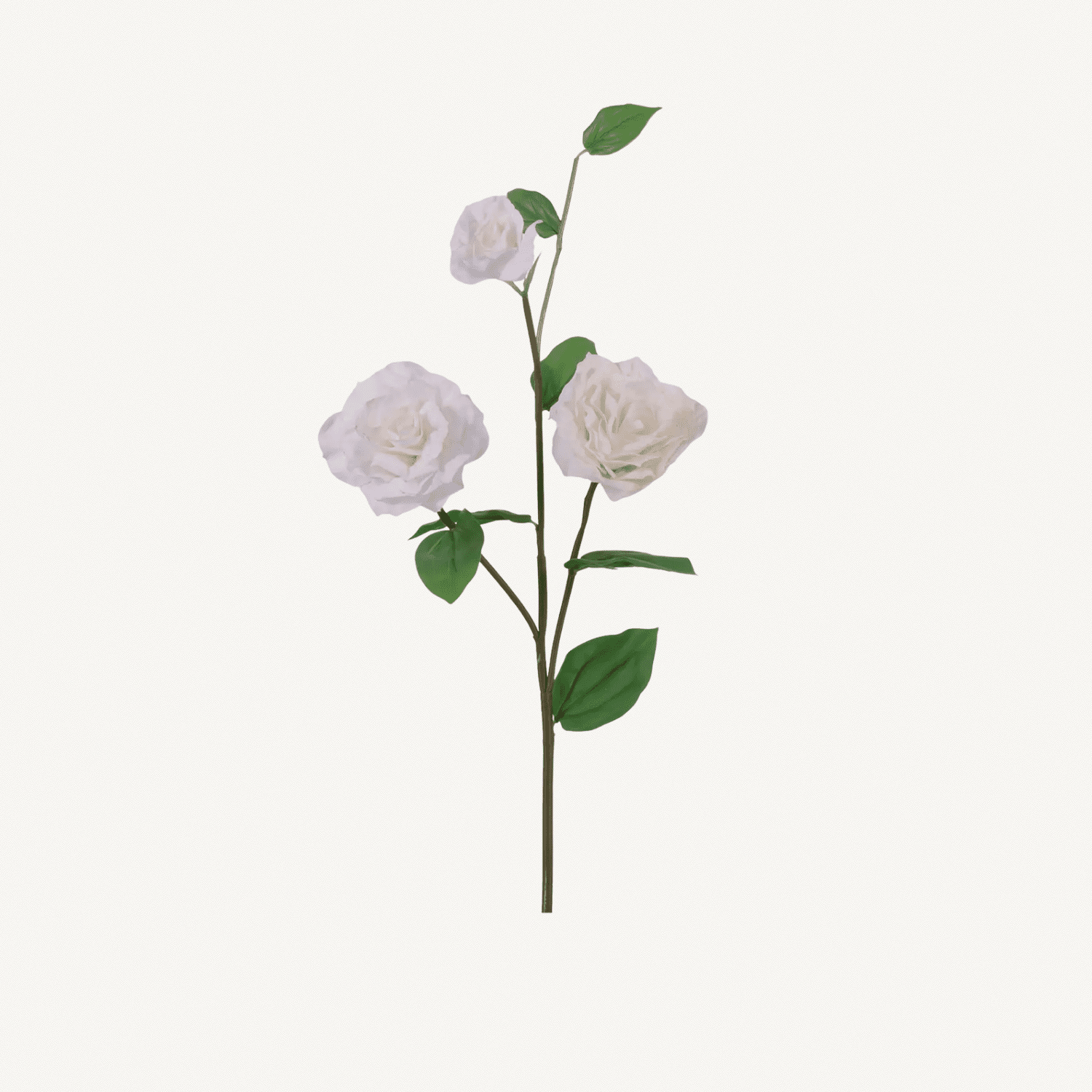 Double Lisianthus Spray - Annie & Flora