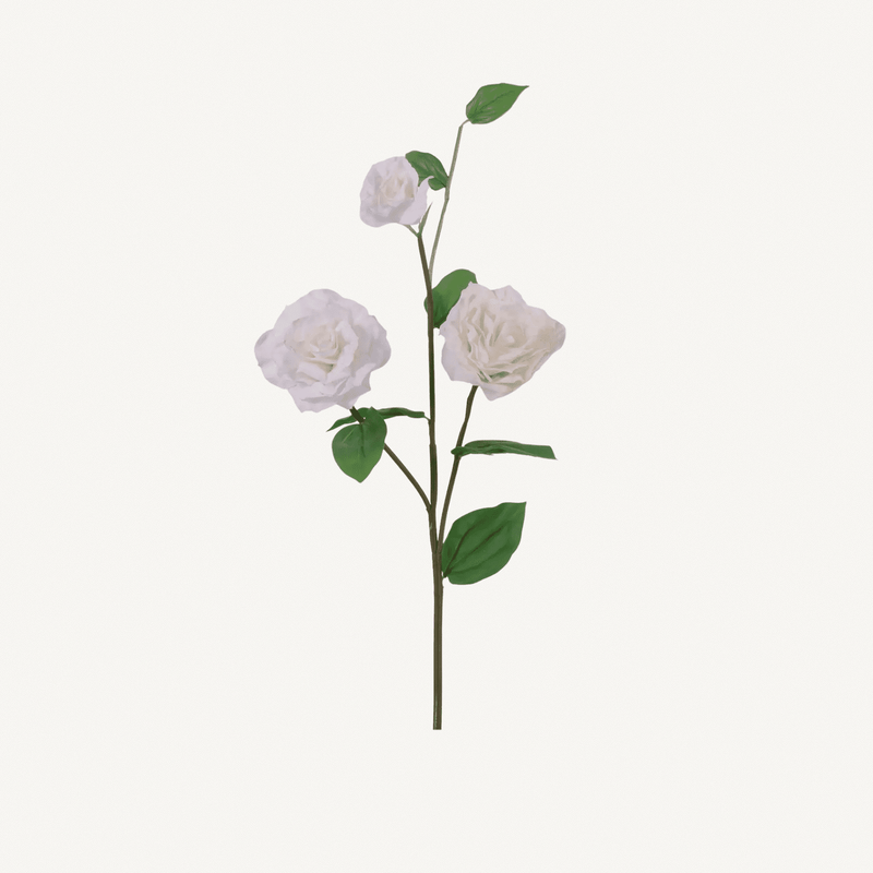 Double Lisianthus Spray - Annie & Flora