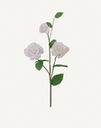 Double Lisianthus Spray - Annie & Flora