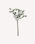 Faux Fresh Cut Branch - Annie & Flora