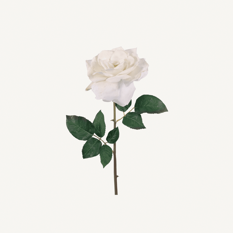 Garden Rose Spray - Annie & Flora