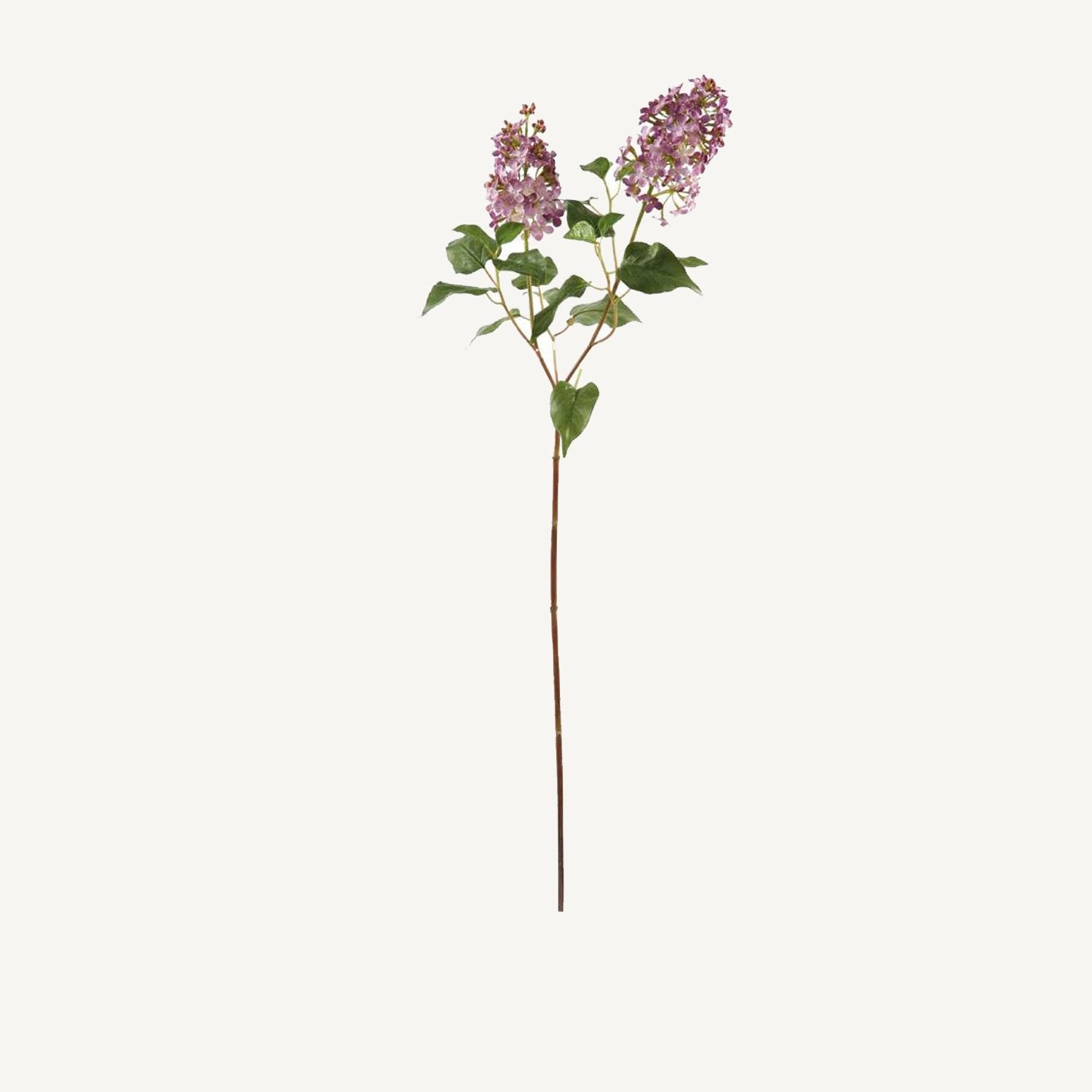 Lilac Spray - Annie & Flora