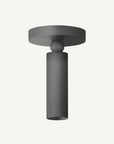 Luxe Pivot Flush Mount - Annie & Flora