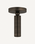 Luxe Pivot Flush Mount - Annie & Flora