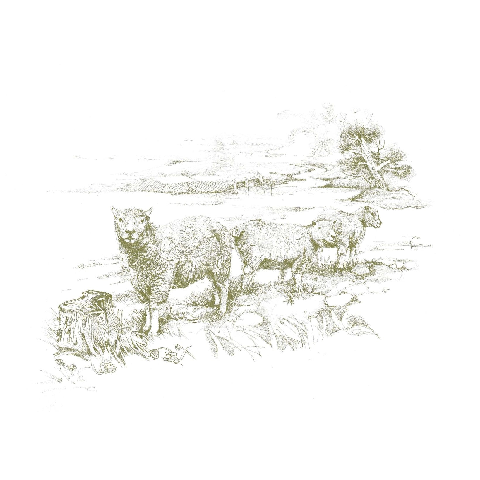 Meeting God in Quiet Places - Annie & Flora