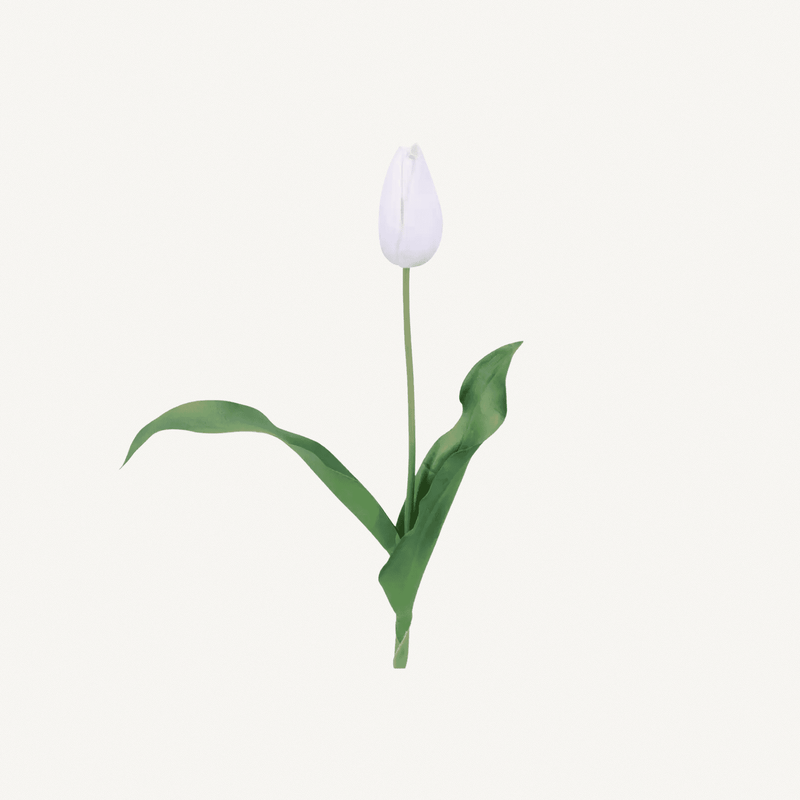 Mini Tulips - Annie & Flora