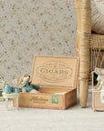 Mum & Dad Mice in Cigarbox - Annie & Flora