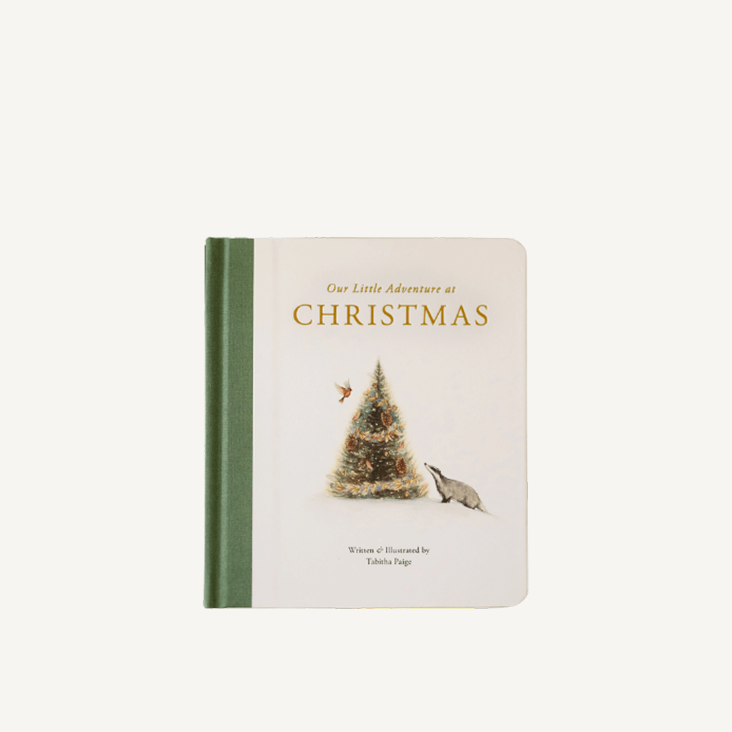 Our Little Adventure at Christmas - Annie & Flora