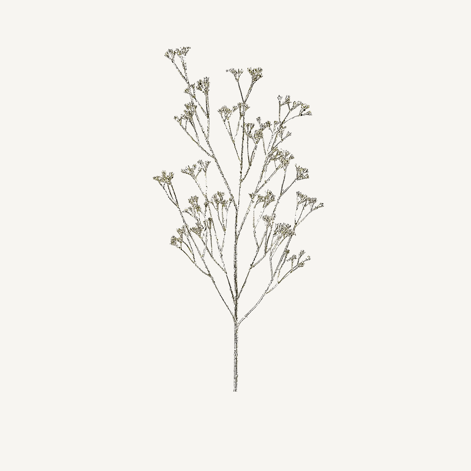 Silver Spray - Annie & Flora