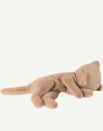 Small Peach Sleeping Kitten - Annie & Flora