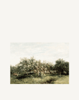 The Quiet Hours | Card Pack - Annie & Flora