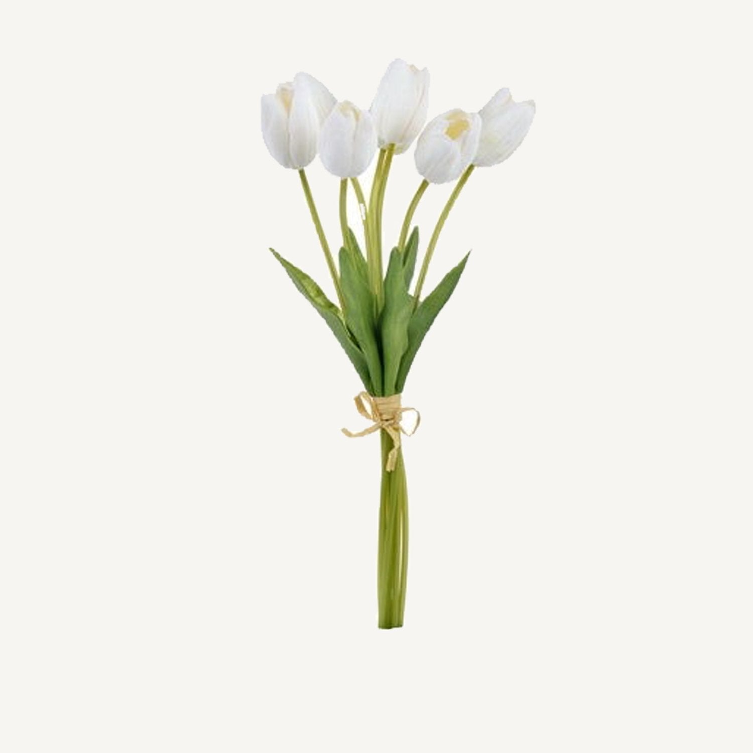 Tulip Bouquet - Annie &amp; Flora