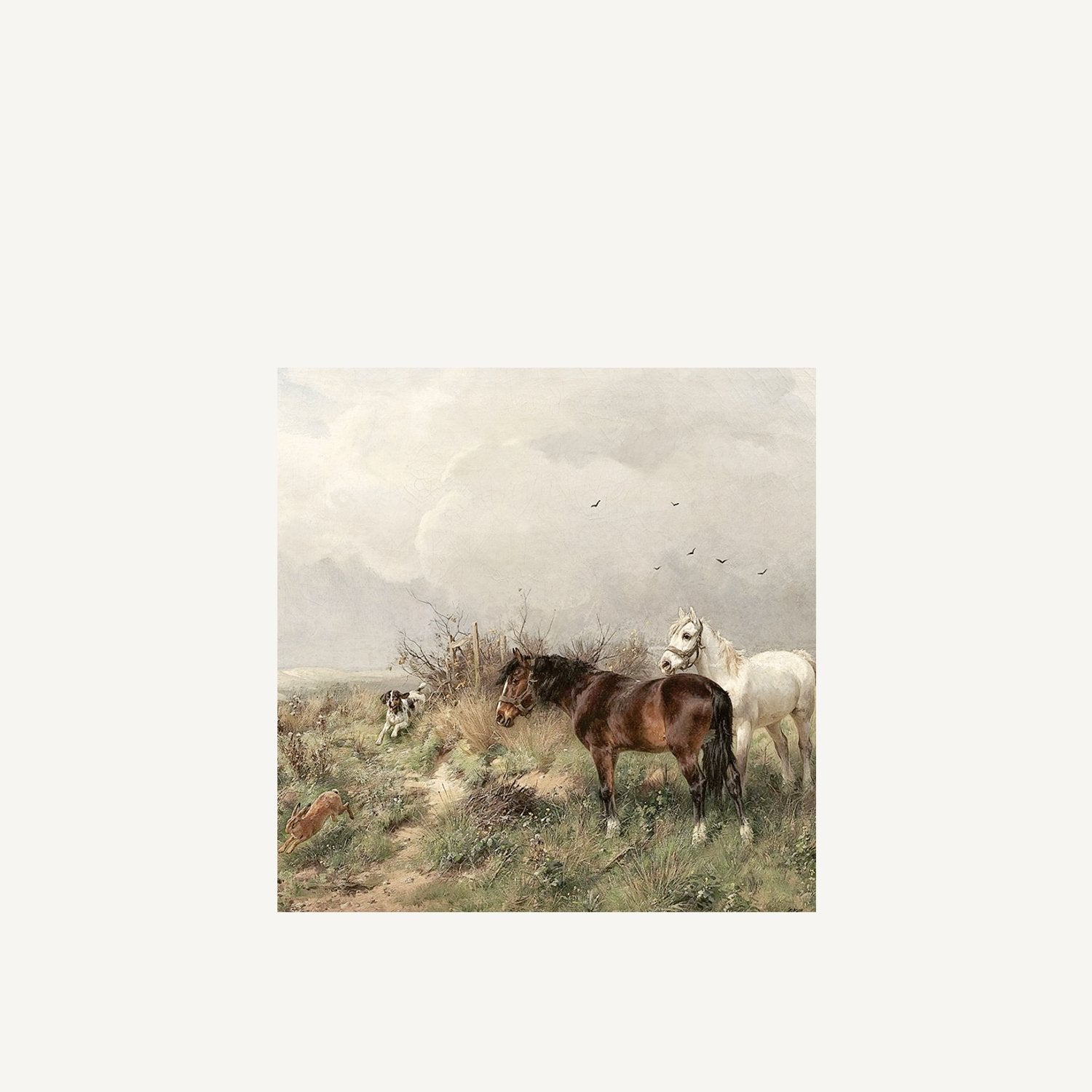 Animals in the Pasture - Annie & Flora