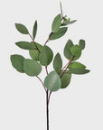 Heart Shape Eucalyptus Stem - Annie & Flora