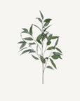 Willow Eucalyptus Spray - Annie & Flora